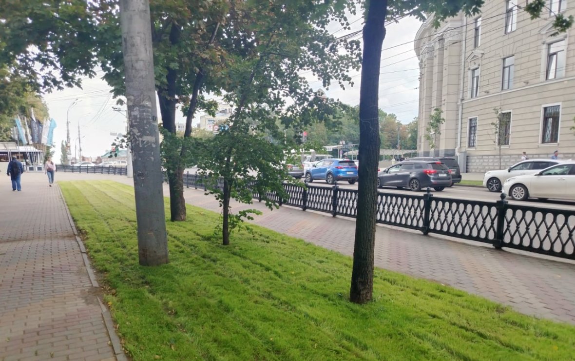 Фото: пресс-служба мэрии Воронежа