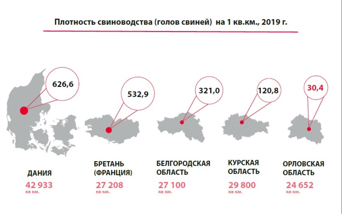 Страны лидирующие в разведении свиней