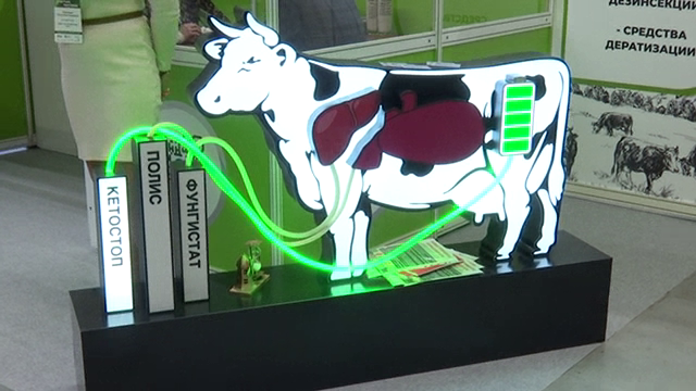 Цифровизация АПК тормозит из-за нехватки кадров и компетенций