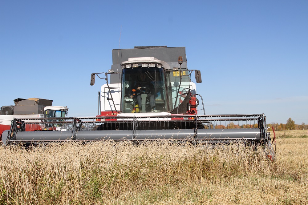 Агрохозяйство «Каменское» завершило уборочную кампанию