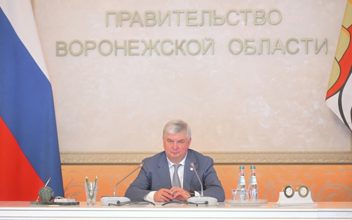 Александр Гусев (Фото: пресс-служба правительства Воронежской области)