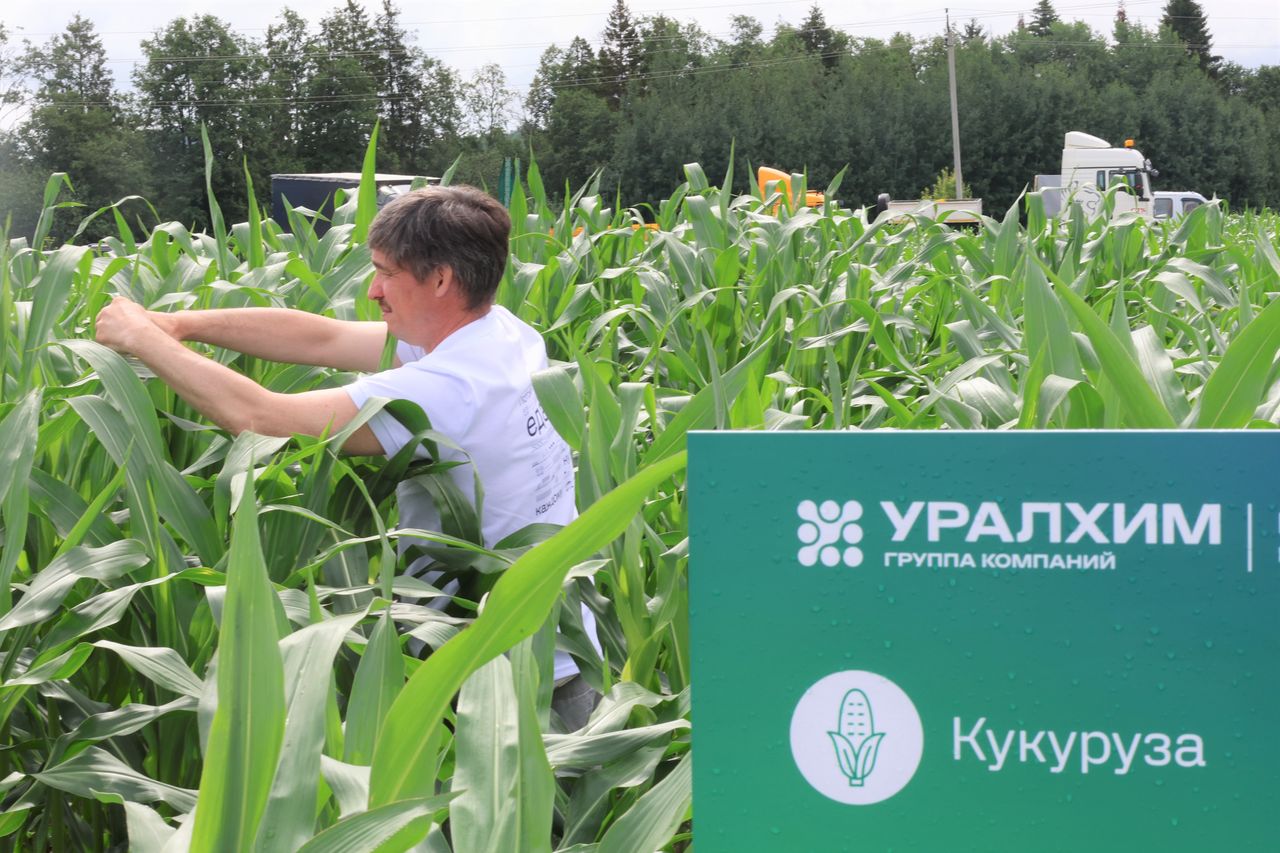 Автор фото: Анна Кричфалушая