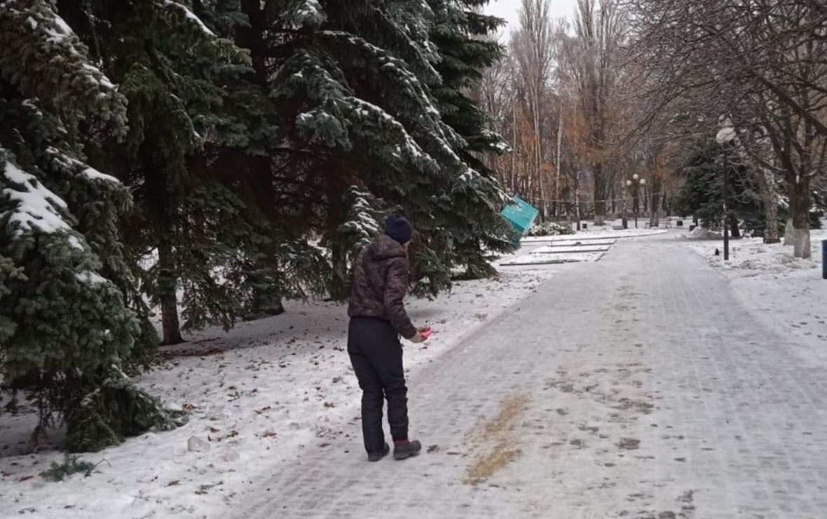 Фото: пресс-служба администрации г. Курска