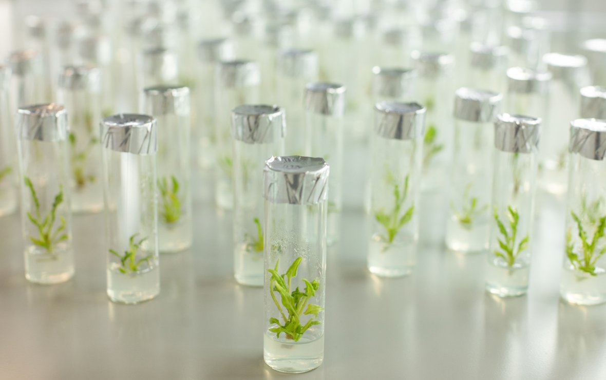 Фото: пресс-служба «СоюзСемСвекла»