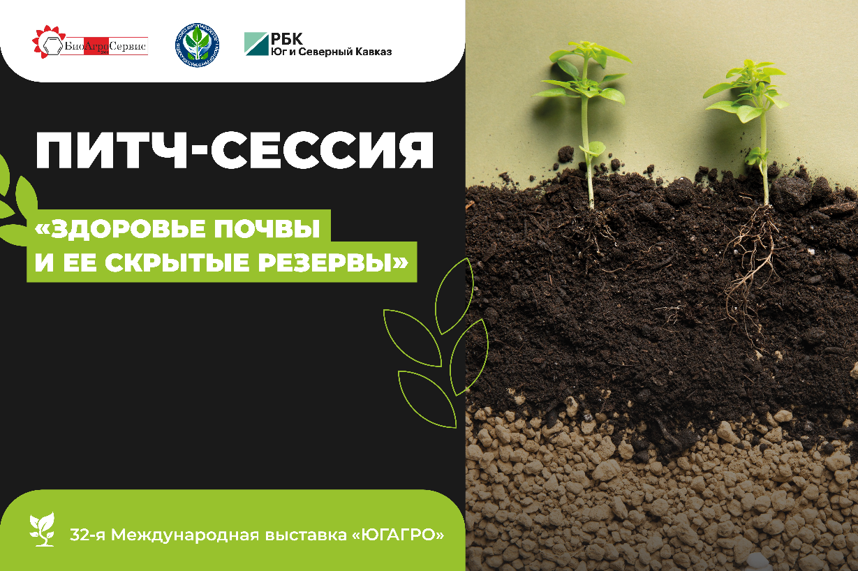 фото: Медиа Группа РБК Юг и Северный Кавказ 