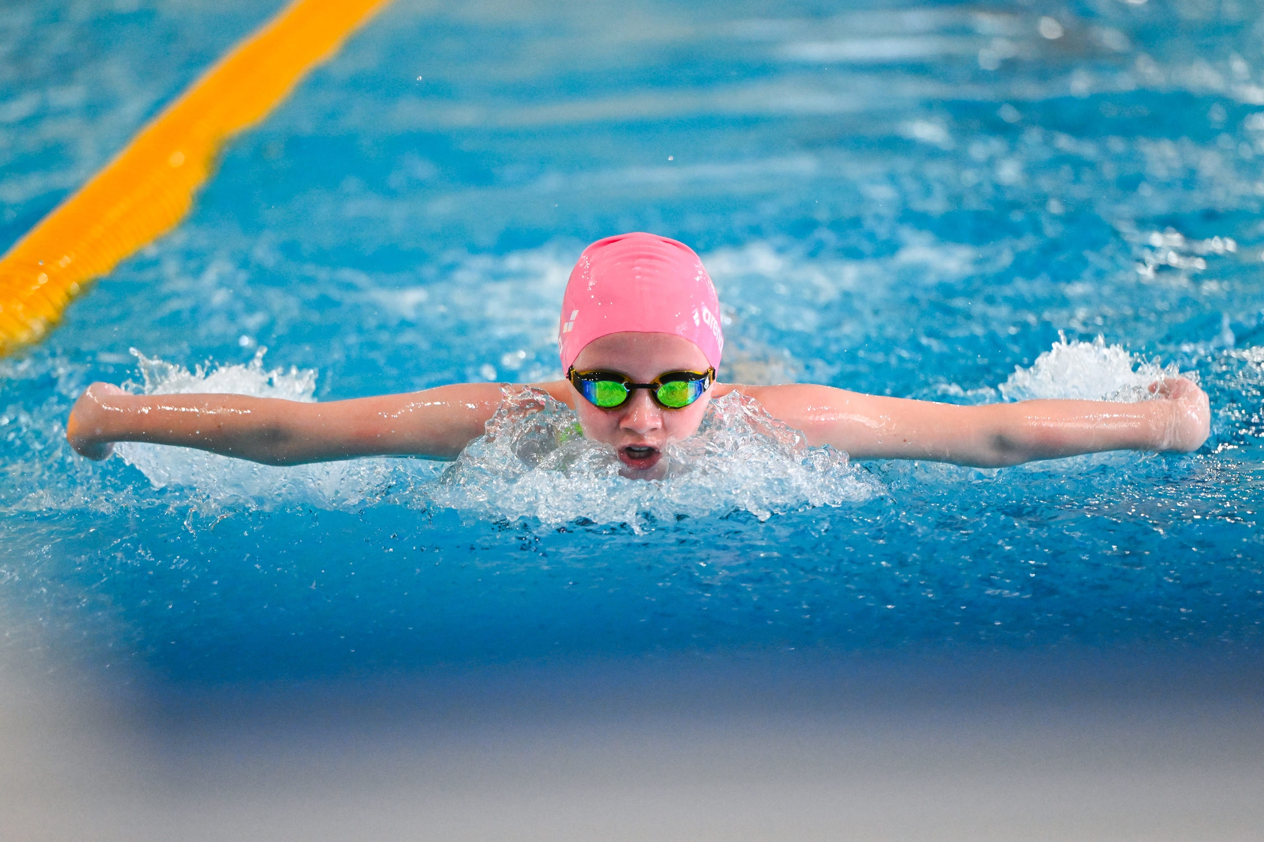 Автор фото:  Владимир Горшков