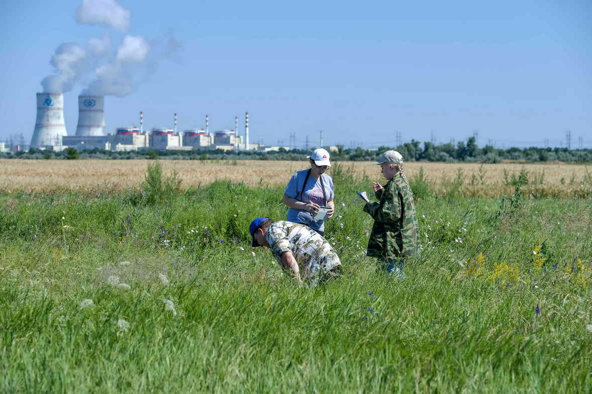 ЮФУ провел экологические исследования вблизи Ростовской АЭС