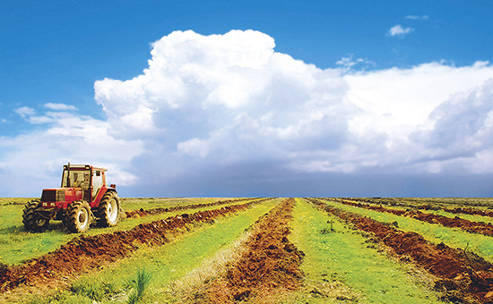 Аграрии Кубани попросили продлить льготную приватизацию сельхозземель