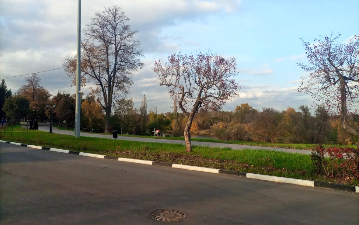 Фото: РБК Черноземье