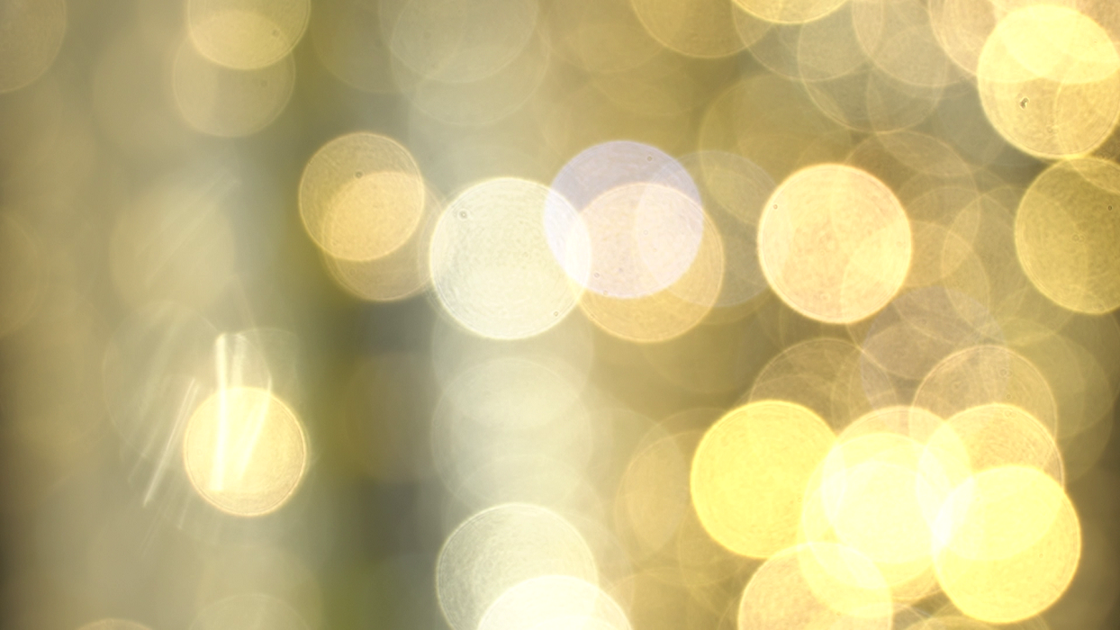 Жителей Прикамья приглашают на «Главную морскую елку страны»