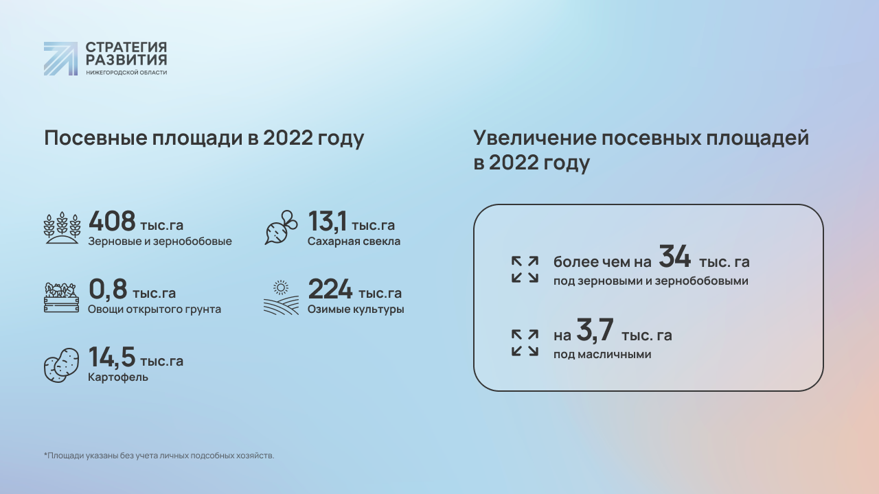Посевная-2022: Нижегородская область увеличит посевные площади под урожай