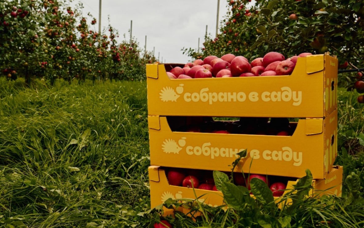 Фото: пресс-служба компании «Агроном-сад»