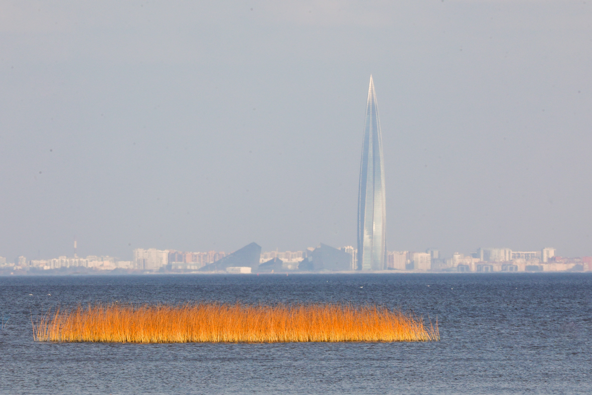 Фото: Пименов Роман/PhotoXPress.ru
