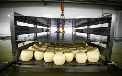 Адыгея в 2016г. намерена увеличить производство мягких сыров 