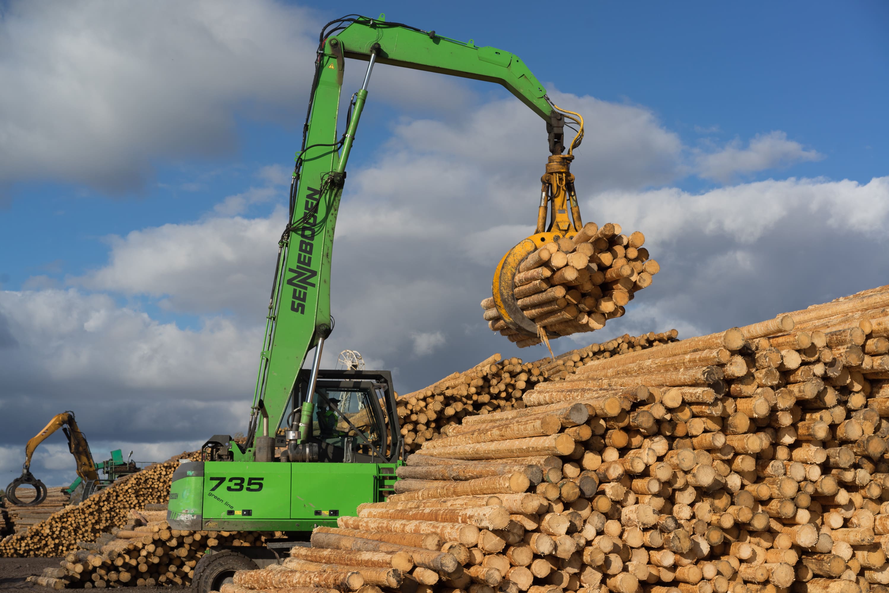 Систему контроля за движением древесины ввели в Segezha Group 
