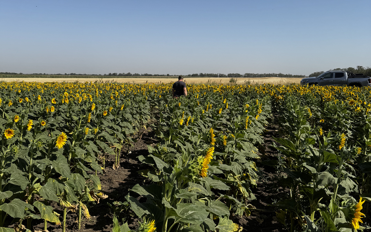 Фото: пресс-служба компании «Генезис»