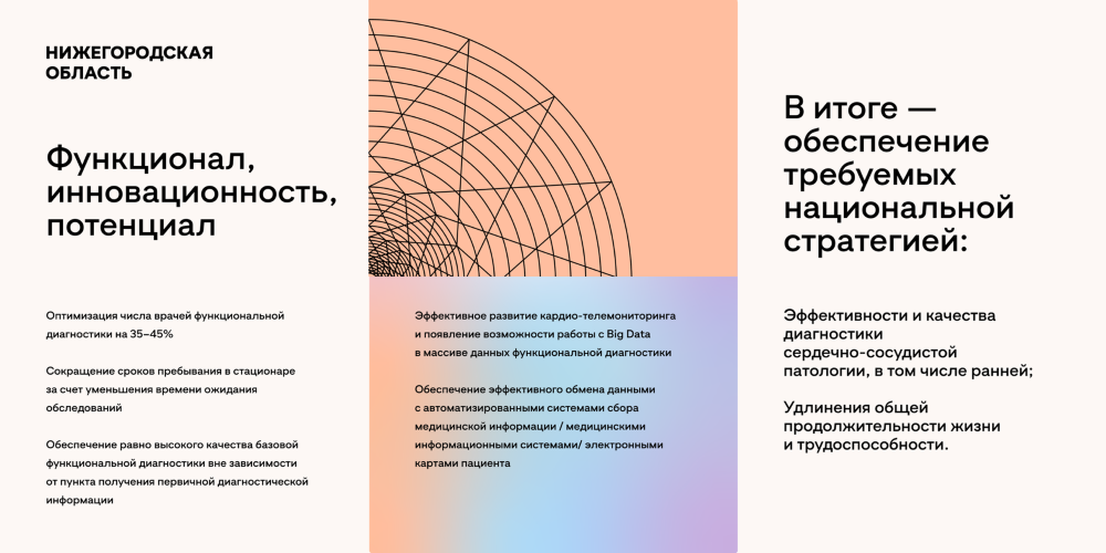ТОП-5 проектов на ЦИПР от Нижегородской области