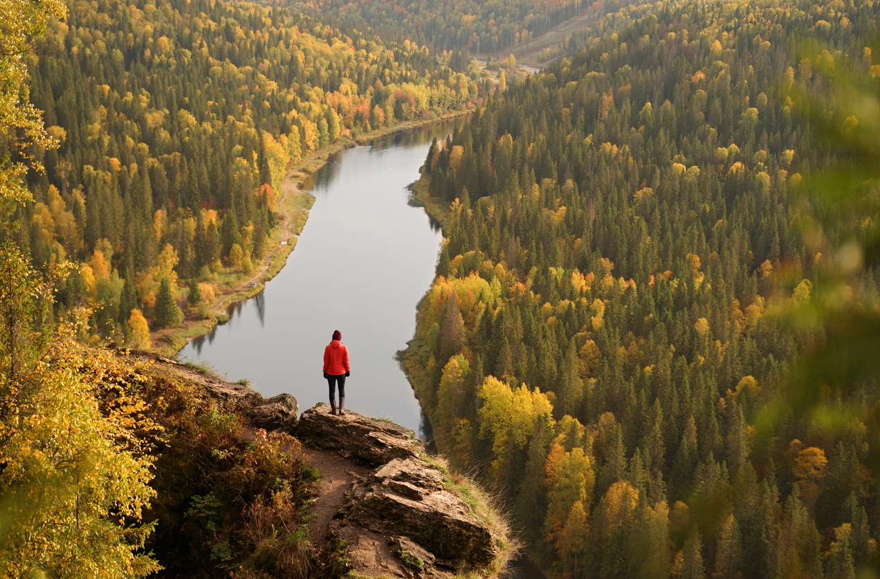 Фото: Shutterstock
