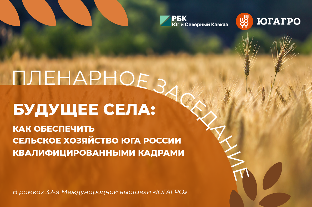 фото: Медиа Группа РБК Юг и Северный Кавказ