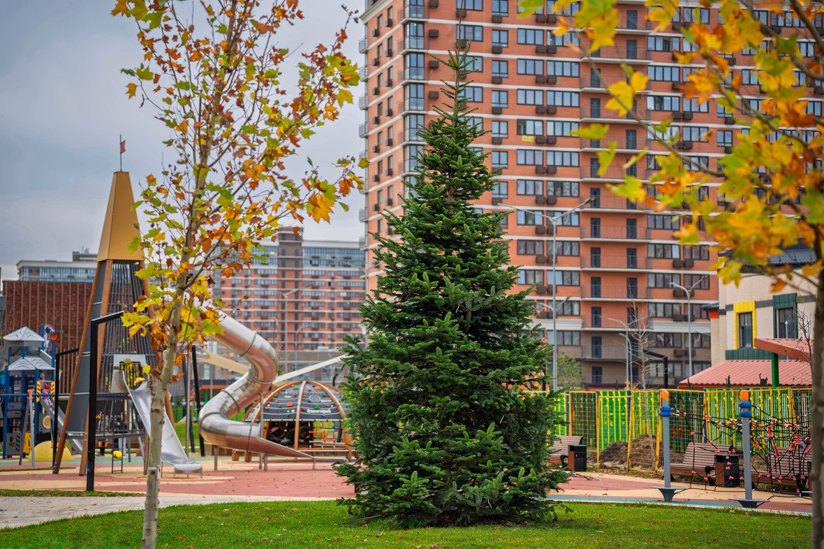 фото: ГК Dogma