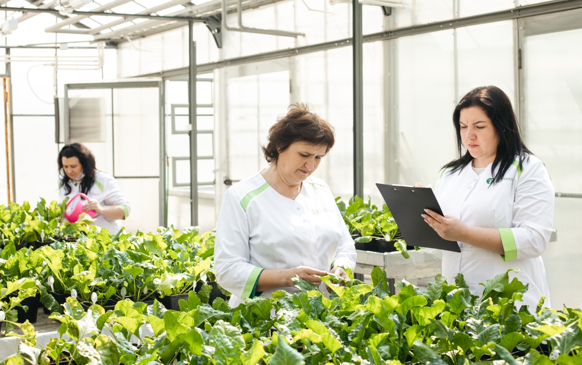 Фото: пресс-служба «СоюзСемСвекла»