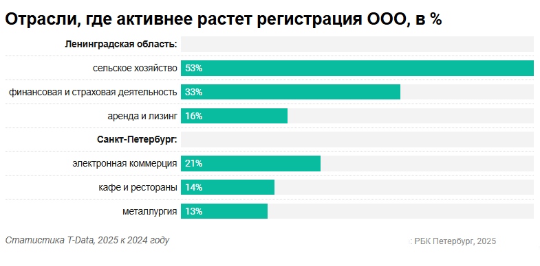 Гибкие и смелые: какие стратегии выбирает бизнес в Петербурге