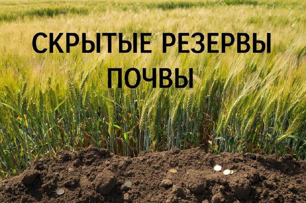 фото: ЗАО «БиоАгроСервис»