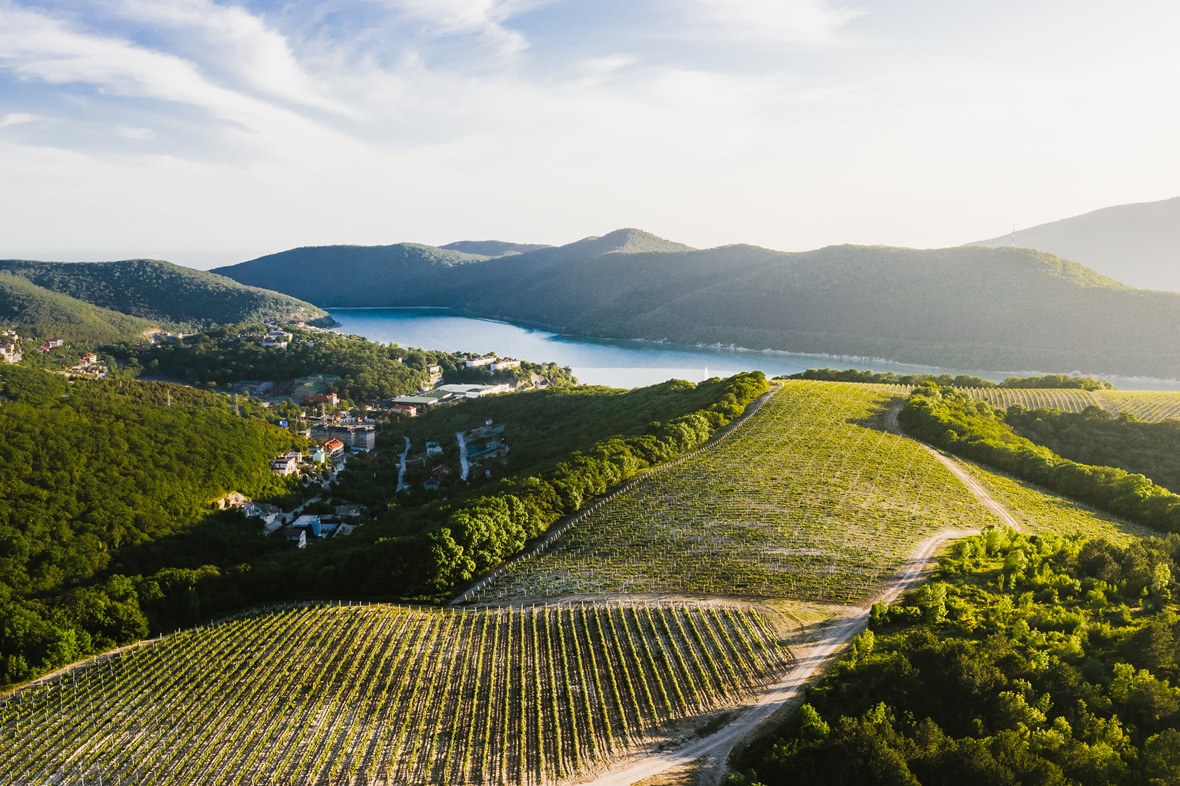 Фото: пресс-служба «Абрау-Дюрсо»