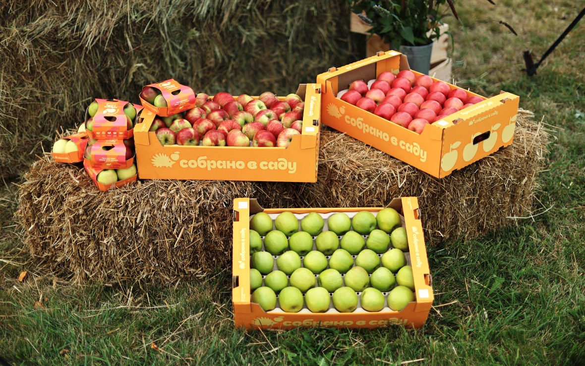 Фото: пресс-служба компании «Агроном-сад»