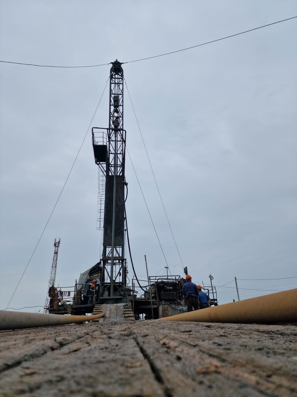 Фото: АО «Родник»