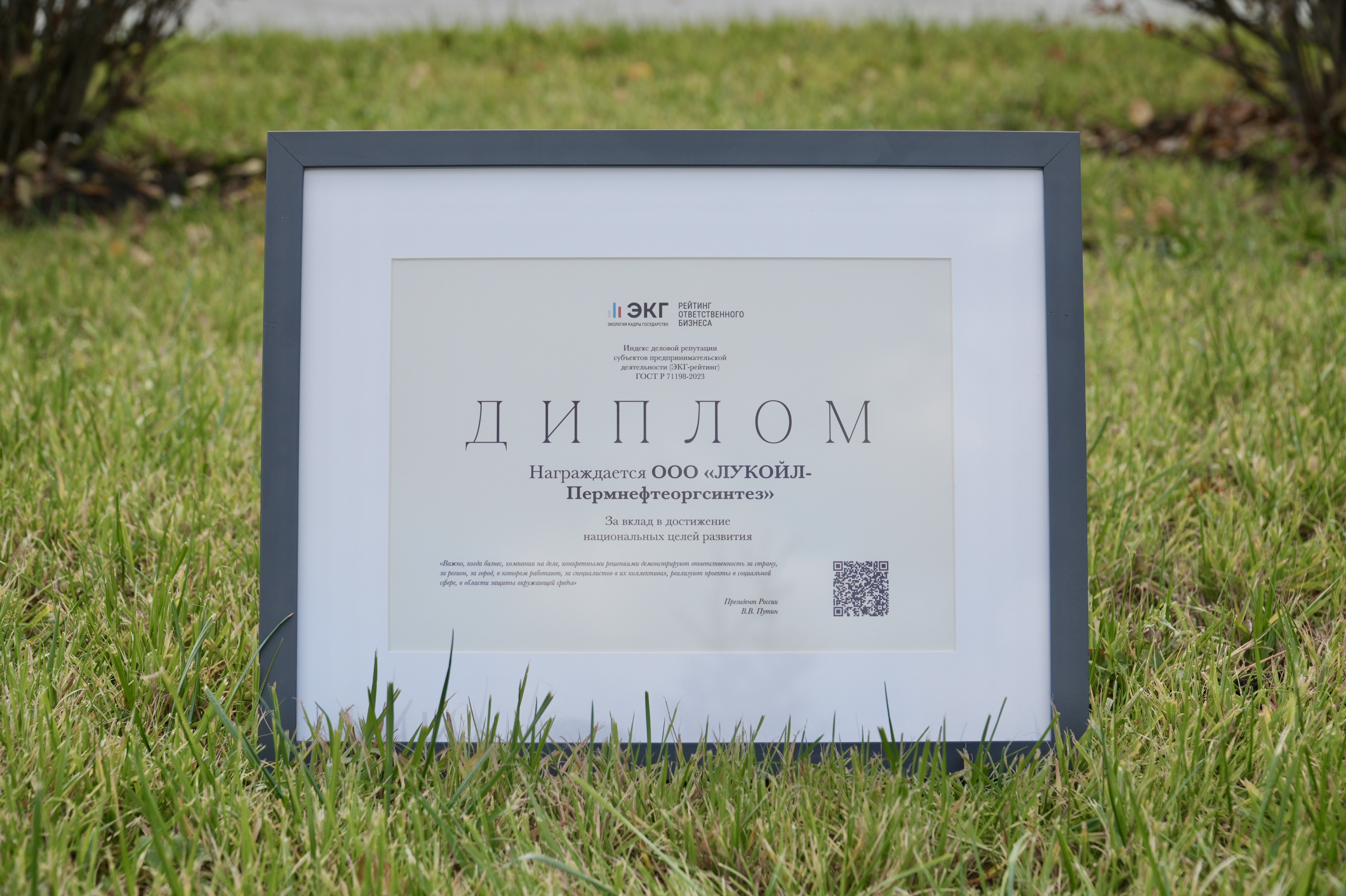 Восемь пермских предприятий стали лидерами ЭКГ-рейтинга