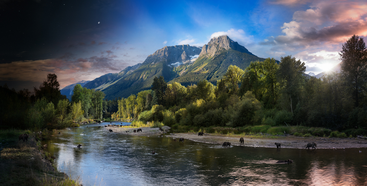 Фото: Музей современного искусства Эрарта