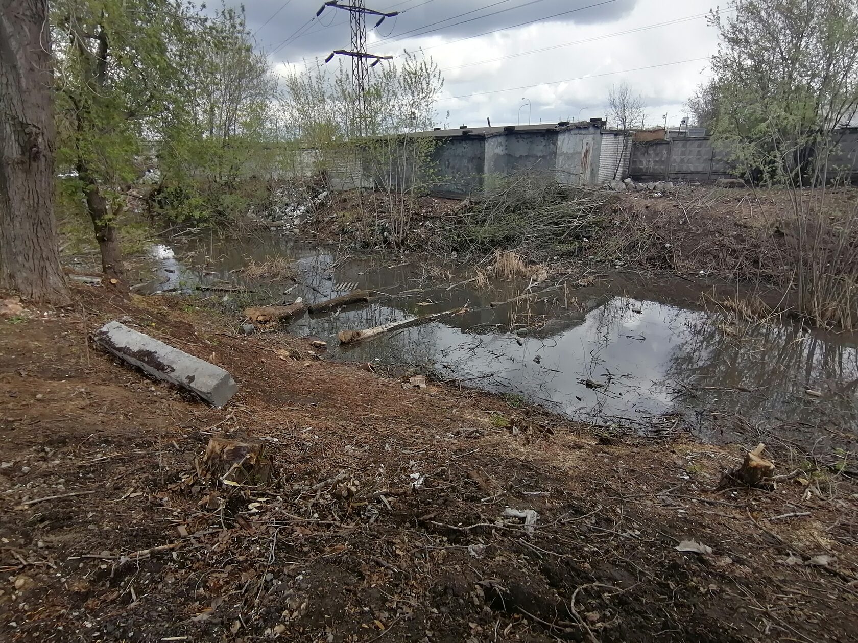 Река Борзовка. Фото министерства экологии и природных ресурсов Нижегородской области