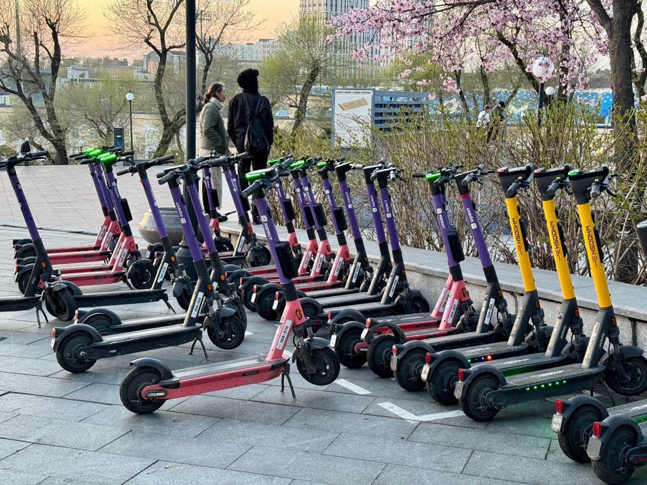 РБК Приморье