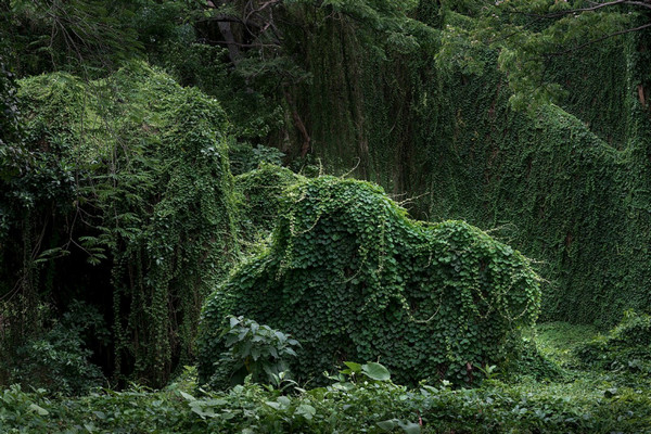 Фото: Музей современного искусства Эрарта