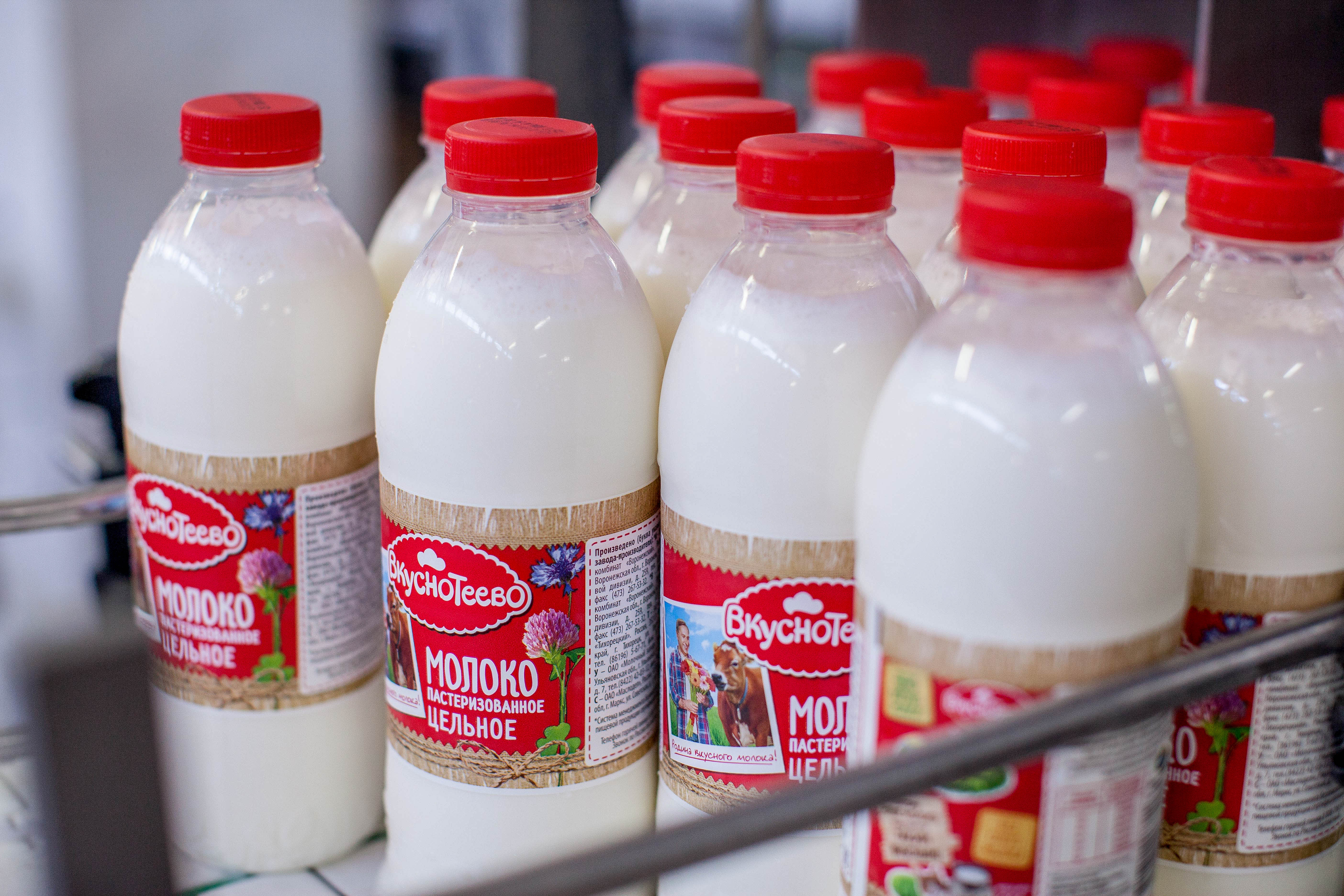 Новая ферма «Молвеста» будет давать 6 тысяч тонн молока в год