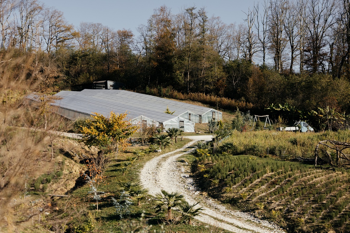 Фото: Александр Саенко