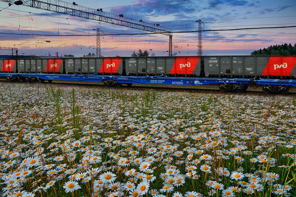 Фото: пресс-служба СКЖД