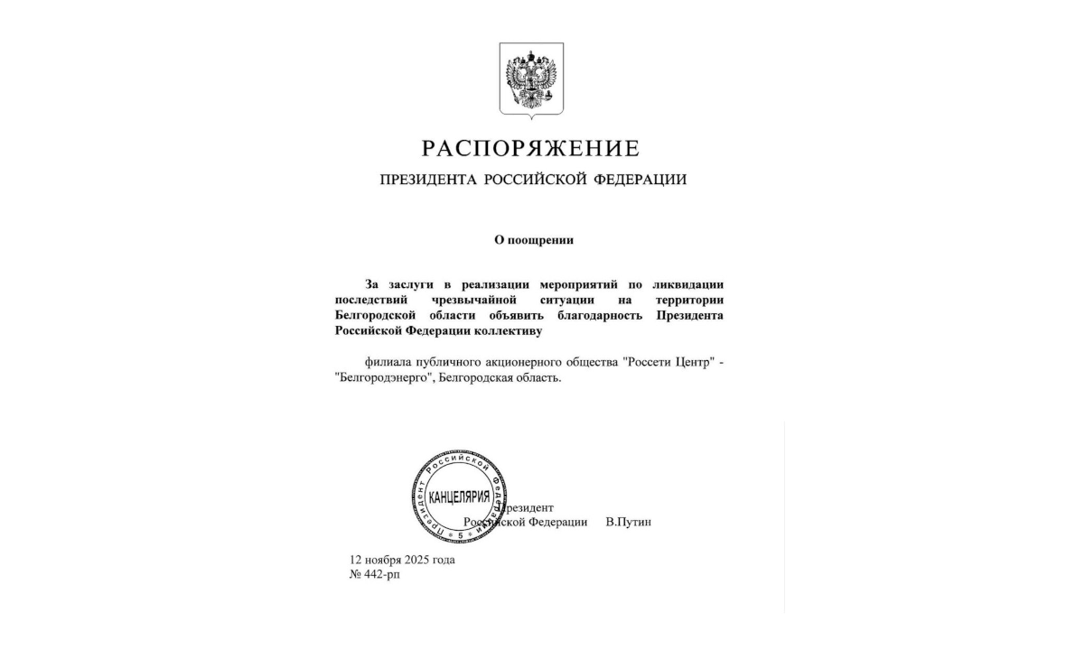 Фото: пресс-служба ПАО «Россети Центр»