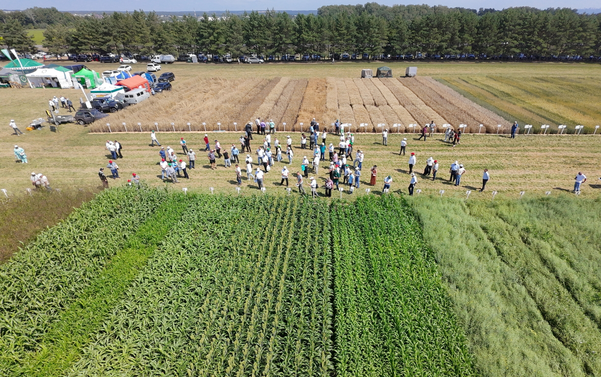 «Агрохим-Гарант»: секрет хорошего урожая