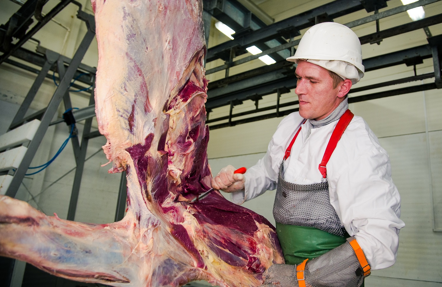 «Сибирская Продовольственная Компания» — лидер рынка НСО по переработке говядины