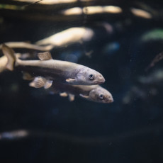 Фото: ru.freepik.com