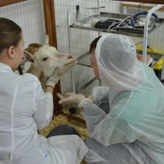 Нижегородская область наращивает кадровый потенциал АПК