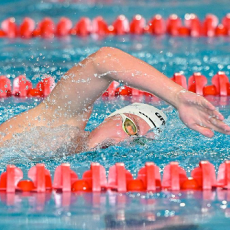 В Перми пройдет Первенство края по плаванию