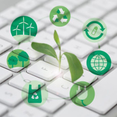 Изображение: ru.freepik.com