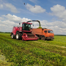 Агрохозяйство «Каменское» завершило уборочную кампанию