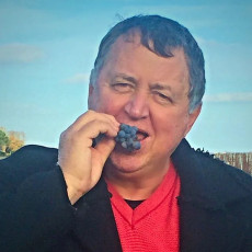 Владелец винодельческого хозяйства «Вина Арпачина» Юрий Малик. Фото из личного архива