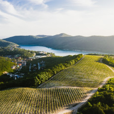 Фото: пресс-служба «Абрау-Дюрсо»