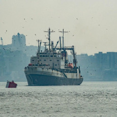 В 2030 году рыбный промысел в ДФО может оказаться под угрозой — эксперты