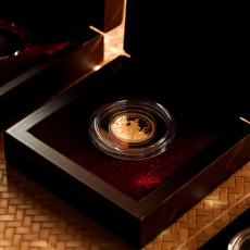 Фото: Анастасия Бондарь